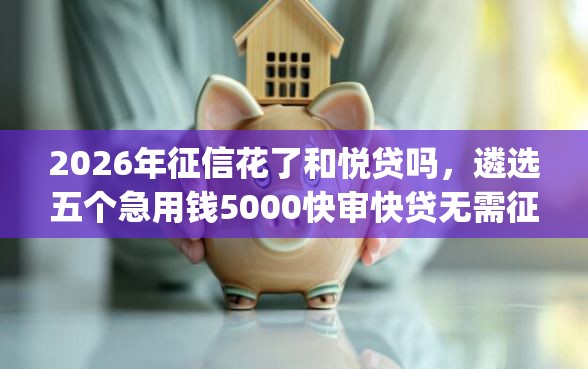 2026年征信花了和悦贷吗，遴选五个急用钱5000快审快贷无需征信app