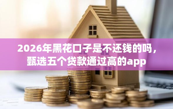 2026年黑花口子是不还钱的吗，甄选五个贷款通过高的app