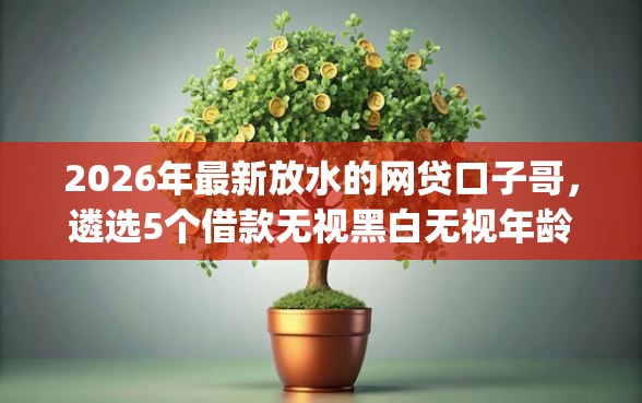 2026年最新放水的网贷口子哥，遴选5个借款无视黑白无视年龄100%秒过app