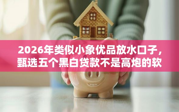 2026年类似小象优品放水口子，甄选五个黑白贷款不是高炮的软件