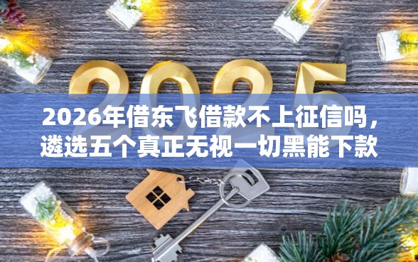 2026年借东飞借款不上征信吗，遴选五个真正无视一切黑能下款口子