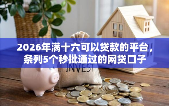 2026年满十六可以贷款的平台，条列5个秒批通过的网贷口子