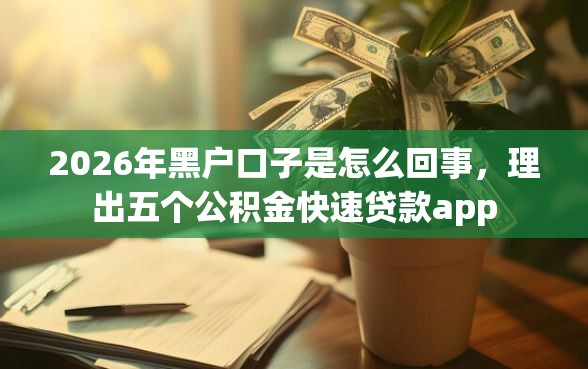 2026年黑户口子是怎么回事,理出五个公积金快速贷款app 2026年黑户口子是怎么回事,理出五个公积金快速贷款app