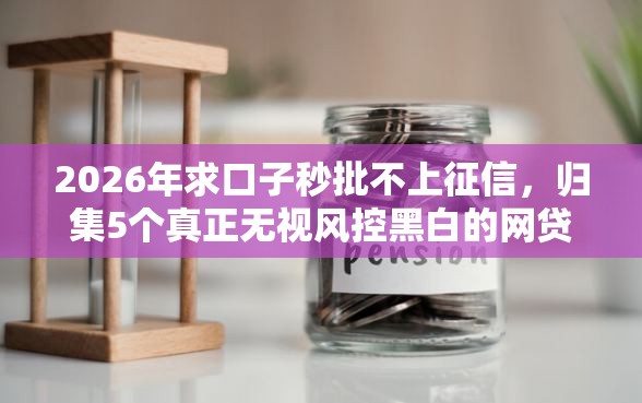 2026年求口子秒批不上征信，归集5个真正无视风控黑白的网贷口子
