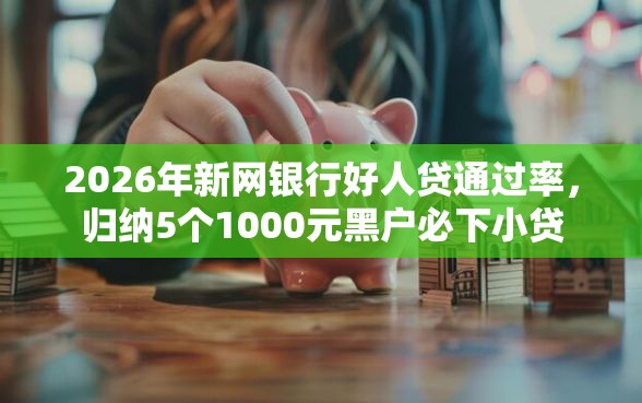2026年新网银行好人贷通过率，归纳5个1000元黑户必下小贷