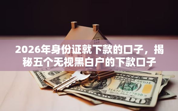 2026年身份证就下款的口子，揭秘五个无视黑白户的下款口子
