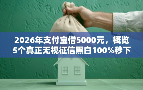 2026年支付宝借5000元，概览5个真正无视征信黑白100%秒下网贷