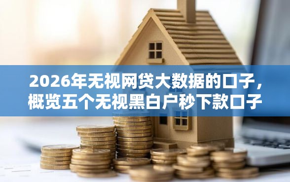 2026年无视网贷大数据的口子，概览五个无视黑白户秒下款口子软件