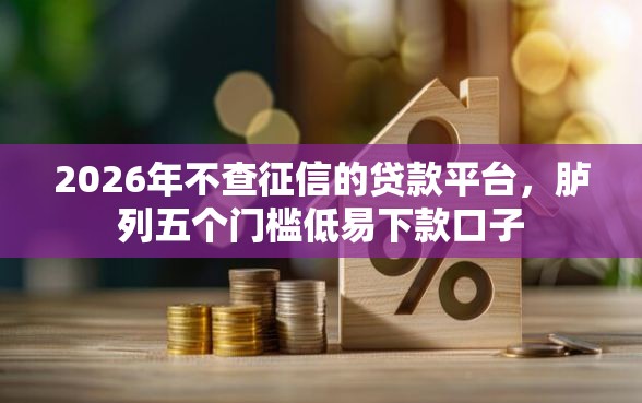 2026年不查征信的贷款平台，胪列五个门槛低易下款口子