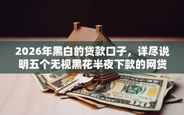 2026年黑白的贷款口子，详尽说明五个无视黑花半夜下款的网贷平台