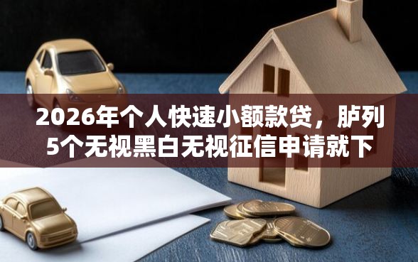 2026年个人快速小额款贷，胪列5个无视黑白无视征信申请就下款的软件