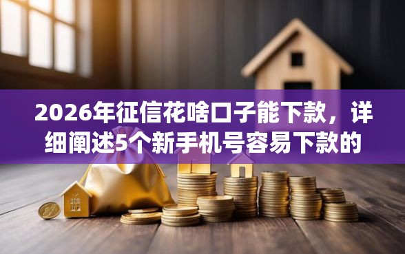 2026年征信花啥口子能下款，详细阐述5个新手机号容易下款的app