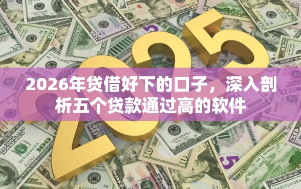 2026年贷借好下的口子，深入剖析五个贷款通过高的软件