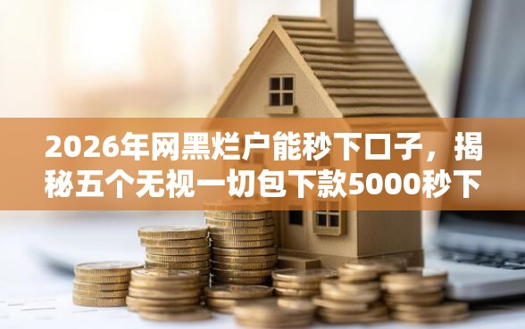 2026年网黑烂户能秒下口子，揭秘五个无视一切包下款5000秒下款的平台