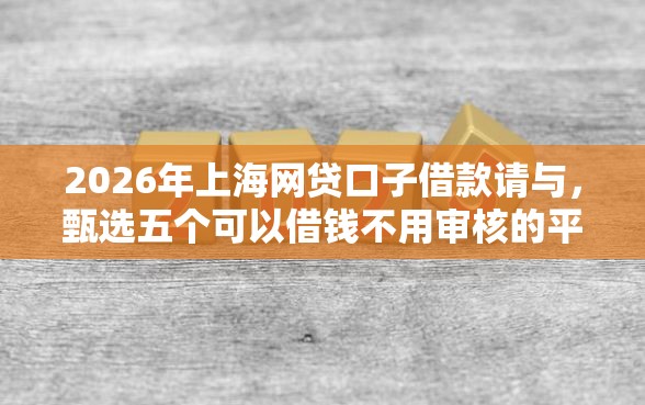 2026年上海网贷口子借款请与，甄选五个可以借钱不用审核的平台