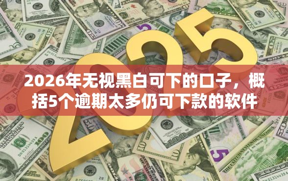 2026年无视黑白可下的口子，概括5个逾期太多仍可下款的软件