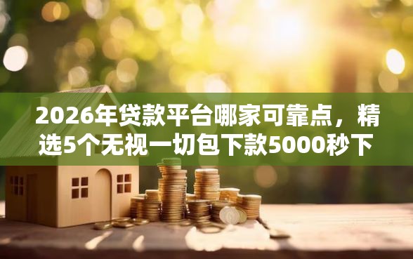 2026年贷款平台哪家可靠点，精选5个无视一切包下款5000秒下款的软件
