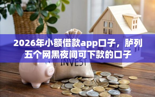 2026年小额借款app口子，胪列五个网黑夜间可下款的口子