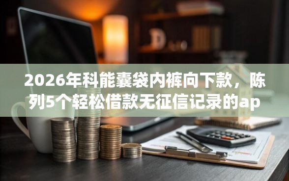 2026年科能囊袋内裤向下款，陈列5个轻松借款无征信记录的app