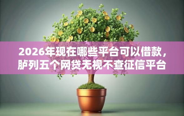 2026年现在哪些平台可以借款，胪列五个网贷无视不查征信平台