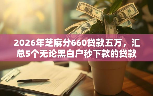 2026年芝麻分660贷款五万，汇总5个无论黑白户秒下款的贷款平台