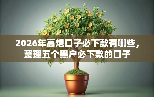 2026年高炮口子必下款有哪些，整理五个黑户必下款的口子