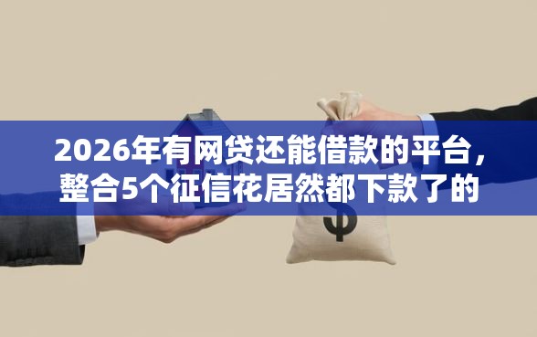 2026年有网贷还能借款的平台，整合5个征信花居然都下款了的软件