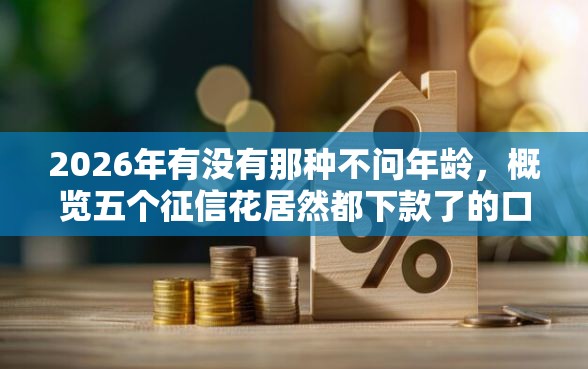 2026年有没有那种不问年龄，概览五个征信花居然都下款了的口子