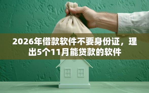 2026年借款软件不要身份证，理出5个11月能贷款的软件