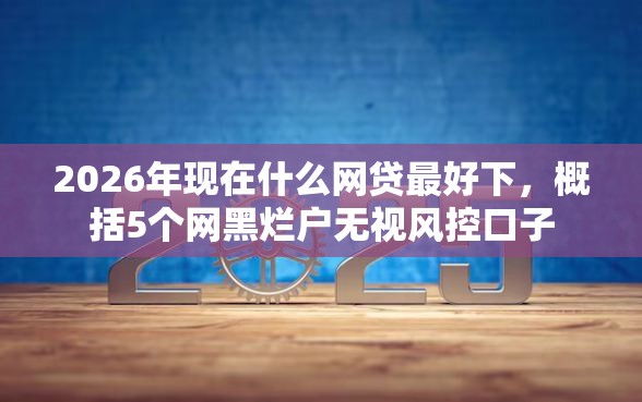 2026年现在什么网贷最好下，概括5个网黑烂户无视风控口子