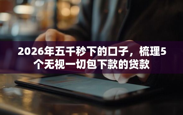 2026年五千秒下的口子，梳理5个无视一切包下款的贷款
