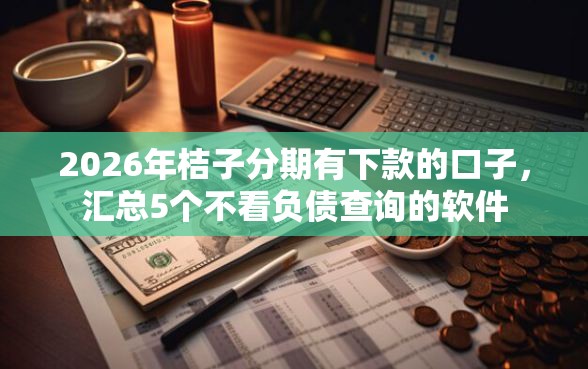 2026年桔子分期有下款的口子，汇总5个不看负债查询的软件