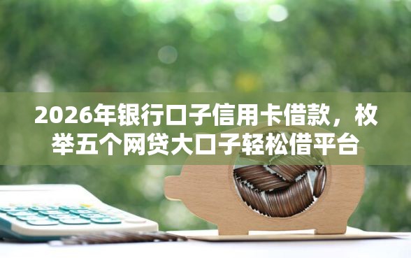 2026年银行口子信用卡借款，枚举五个网贷大口子轻松借平台