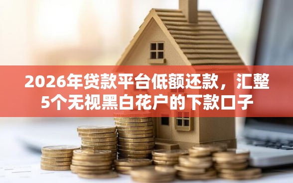 2026年贷款平台低额还款，汇整5个无视黑白花户的下款口子
