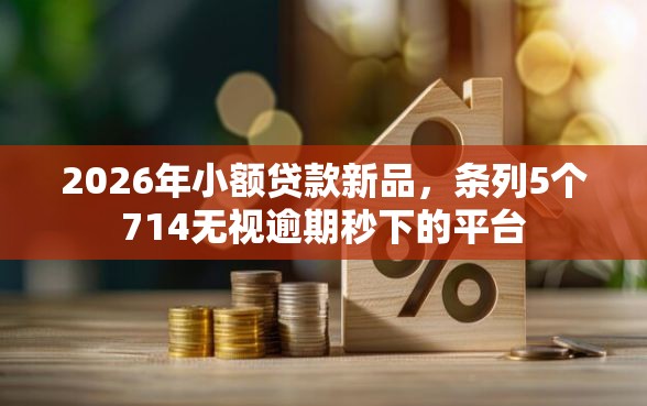 2026年小额贷款新品，条列5个714无视逾期秒下的平台