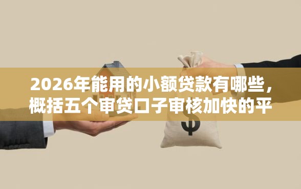 2026年能用的小额贷款有哪些，概括五个审贷口子审核加快的平台