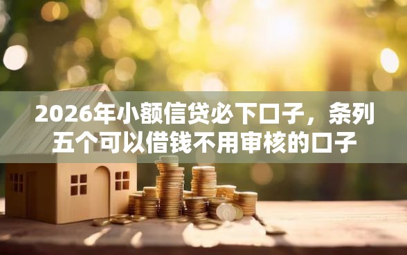 2026年小额信贷必下口子,条列五个可以借钱不用审核的口子 2026年小额信贷必下口子,条列五个可以借钱不用审核的口子