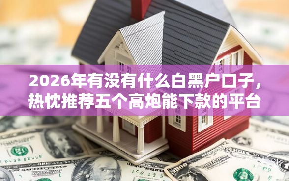 2026年有没有什么白黑户口子，热忱推荐五个高炮能下款的平台