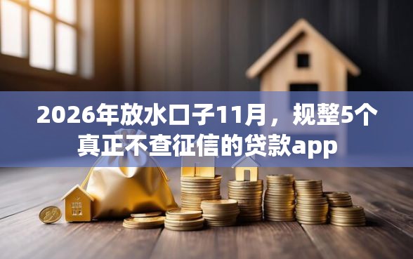 2026年放水口子11月，规整5个真正不查征信的贷款app