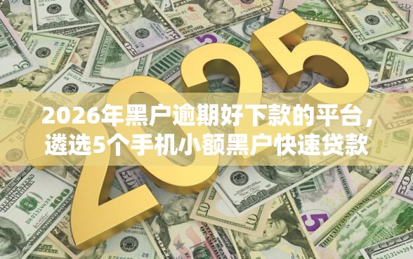2026年黑户逾期好下款的平台，遴选5个手机小额黑户快速贷款口子