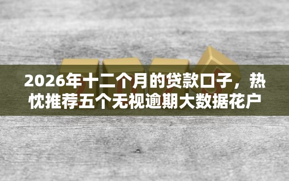 2026年十二个月的贷款口子，热忱推荐五个无视逾期大数据花户黑户口子