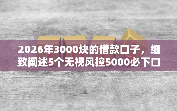2026年3000块的借款口子，细致阐述5个无视风控5000必下口子