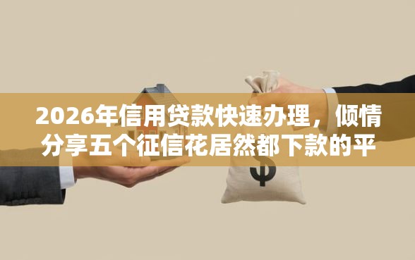 2026年信用贷款快速办理，倾情分享五个征信花居然都下款的平台
