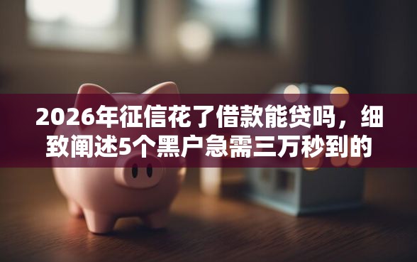 2026年征信花了借款能贷吗，细致阐述5个黑户急需三万秒到的的口子