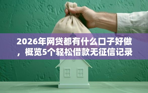 2026年网贷都有什么口子好做，概览5个轻松借款无征信记录的软件