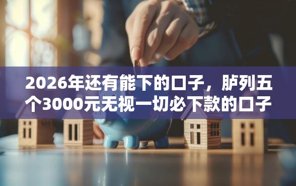 2026年还有能下的口子，胪列五个3000元无视一切必下款的口子