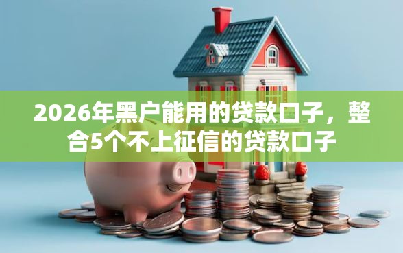 2026年黑户能用的贷款口子，整合5个不上征信的贷款口子
