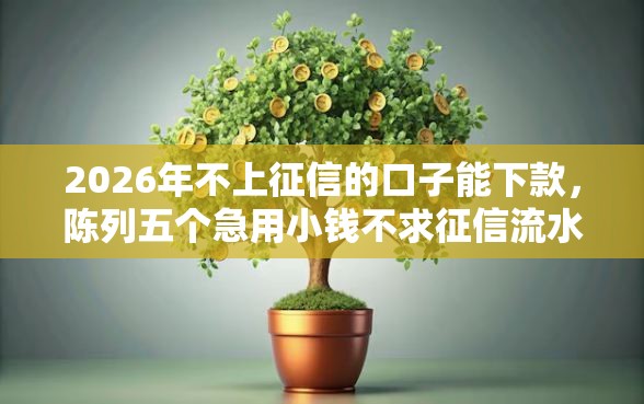 2026年不上征信的口子能下款，陈列五个急用小钱不求征信流水轻松贷的口子