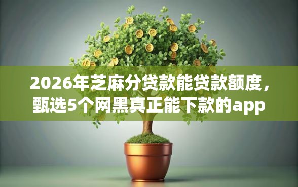 2026年芝麻分贷款能贷款额度，甄选5个网黑真正能下款的app