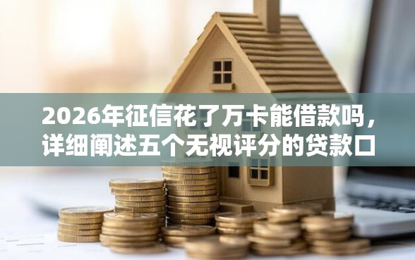 2026年征信花了万卡能借款吗，详细阐述五个无视评分的贷款口子